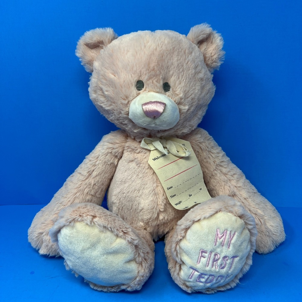 Demdaco First Teddy Bear Plush Pink Stuffed Animal Embroidered Soft Nursery Toy